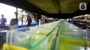 Aktivitas di pusat budidaya cupang Boston Betta Serpong, Tangerang Selatan, Selasa (8/12/2020). Dalam sebulan Boston Betta mampu menjual Ikan cupang hias sebanyak 10 ribu ekor dengan harga Rp20 ribu - Rp1,5 juta per ekor secara daring maupun langsung. (merdeka.com/Dwi Narwoko)