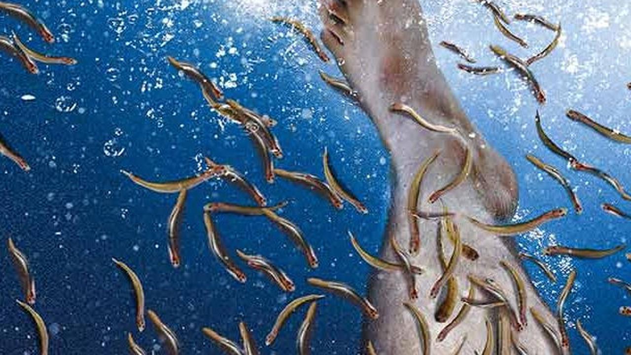 3. Candiru<br>