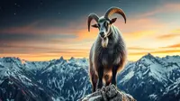 Kepribadian Zodiak Capricorn, Karakter Unik Si Pekerja Keras
