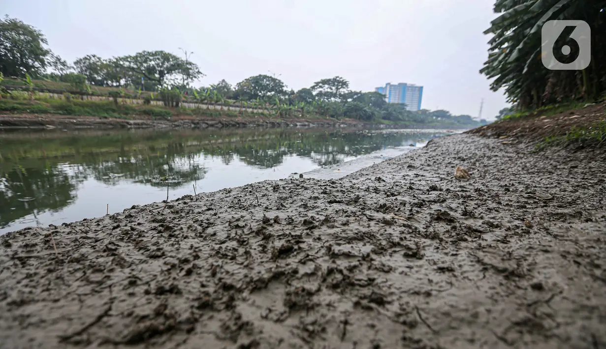 Kondisi aliran Kanal Banjir Timur (KBT) yang surut di kawasan Cakung, Jakarta, Rabu (23/8/2023). Musim kemarau yang terjadi dalam satu bulan ini menyebabkan debit air KBT berkurang sehingga beberapa bagian sungai membentuk daratan. (Liputan6.com/Faizal Fanani)