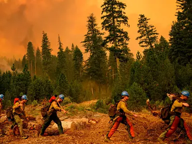 Tim pemadam kebakaran Plumas Hotshots berjalan dari garis kebakaran selama kebakaran Taman di daerah Mill Creek, Tehama County, California, 7 Agustus 2024. (JOSH EDELSON/AFP)