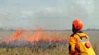 Karhutla di Kalsel Meluas, 8 Wilayah Terdampak