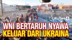 evakuasi wni