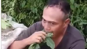 Kronologi Dua Pencuri di Deli Serdang Dipaksa Warga Kunyah Daun Pepaya