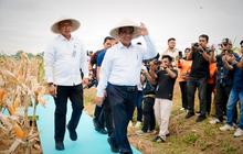 Dirut Bulog Minta Jajaran Proaktif Serap Jagung Produksi Polri, Perkuat Penyerapan Jagung Bulog Nasional