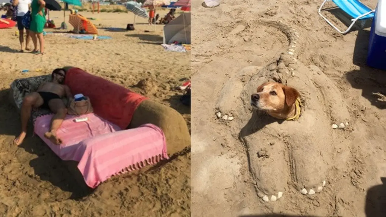 Kelakuan di pantai (Sumber: Boredpanda)