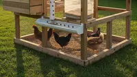 7 Desain Kandang Ayam Murah dengan Sistem Pakan Otomatis Sederhana yang Mudah Dirakit