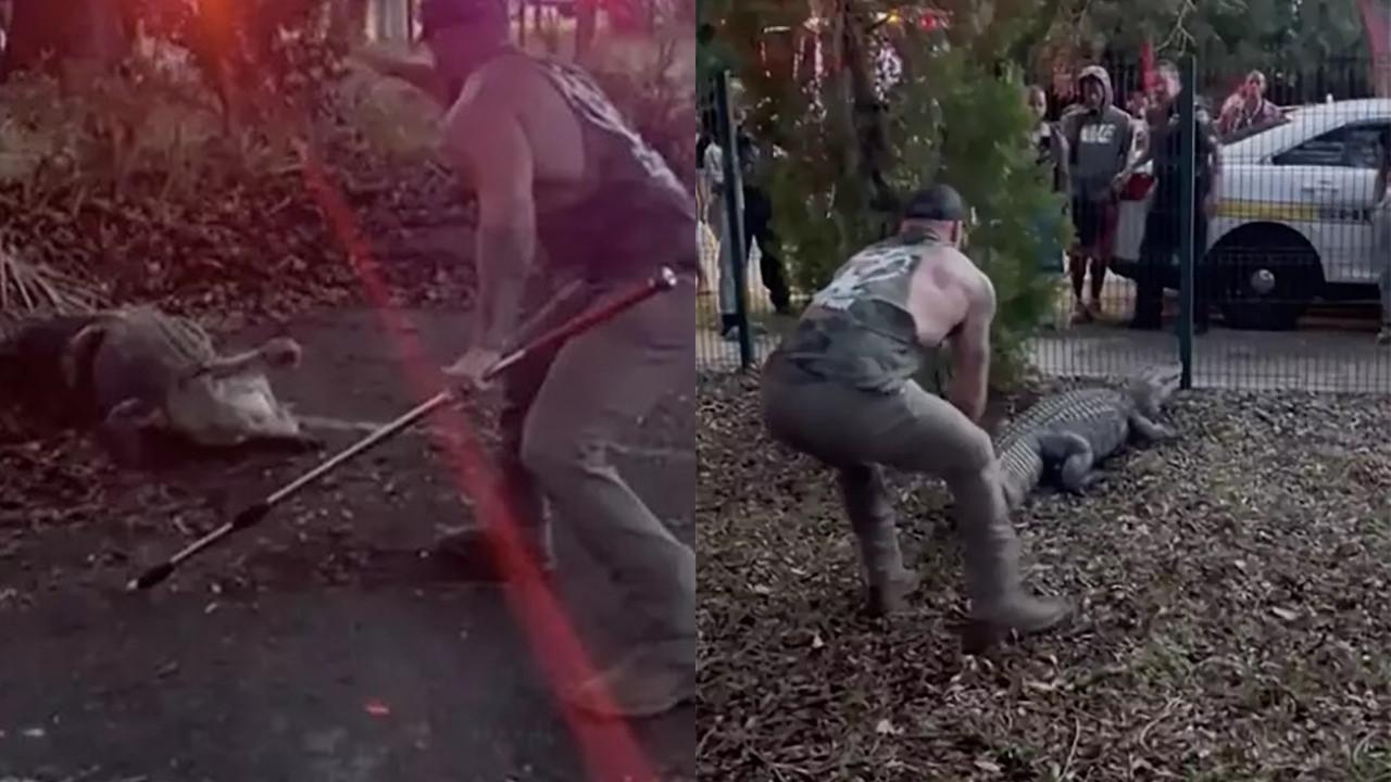 Aksi Petarung MMA Bergulat dengan Buaya