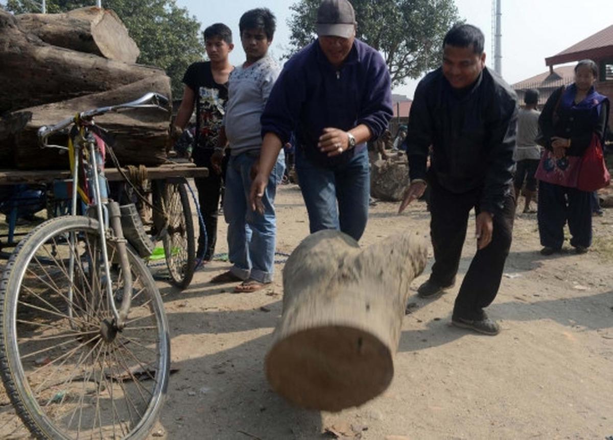 Krisis BBM, pemerintah Nepal jual kayu bakar