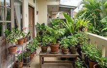 4 Konsep Kebun Dapur untuk Hidup Lebih Sehat dan Alami dengan Lahan Terbatas