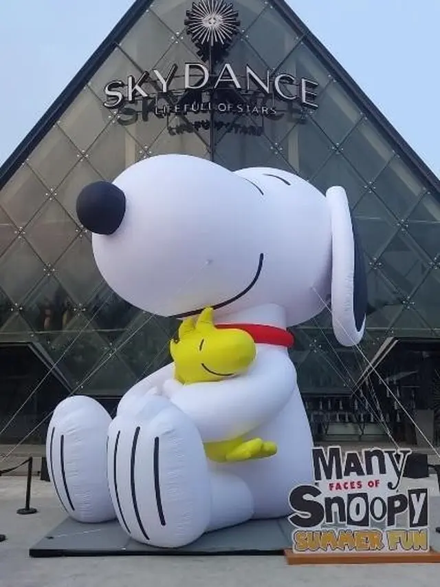 Snoopy Run