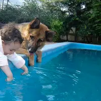 Kebersamaan Anjing dan Para Balita Ini Bikin Siangmu Lebih Adem