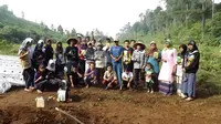 Petani Vs Babi Hutan Tak Mempan Diracun Bertarung di Ladang