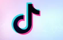 Resmi Dilarang, 170 Juta Pengguna TikTok di AS Mati Gaya