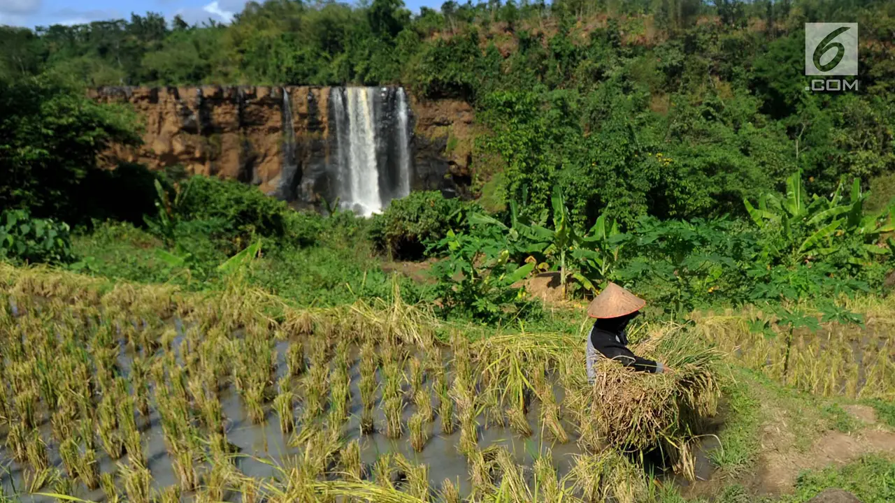 Menikmati Keindahan Curug Awang yang Jadi Ikon Ciletuh Geopark