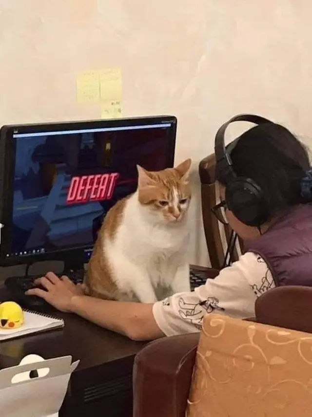 6 Potret Kucing Ganggu Majikan Main Game Ini Bikin Senyum Tipis