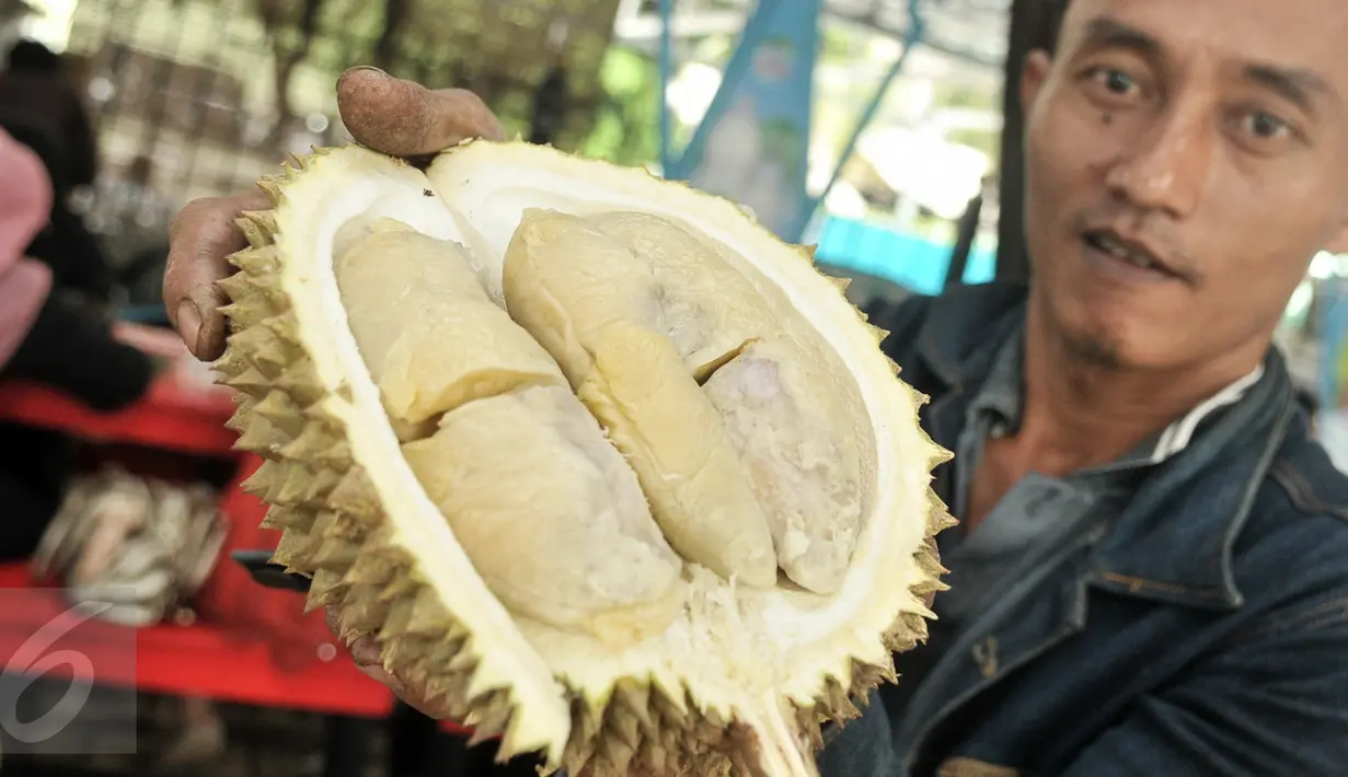 Pedagang menunjukan jenis durian montong di Loksem Pusat Penjualan Durian, Jalan TMP Kalibata, Jakarta Selatan, Kamis (9/2). Loksem yang diisi 30 PKL tersebut akan menjadi pusat penjualan durian terbesar di Ibu kota. (Liputan6.com/Yoppy Renato)