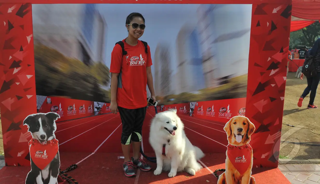 Para peserta Purina Alpo Dog Run 2015 berpose dengan anjing peliharaan mereka di Lapangan Parkir Timur Senayan, Jakarta, Minggu (24/5/2015). Acara tersebut dimanfaatkan para pemilik anjing untuk berbagi informasi. (Liputan6.com/Herman Zakharia)