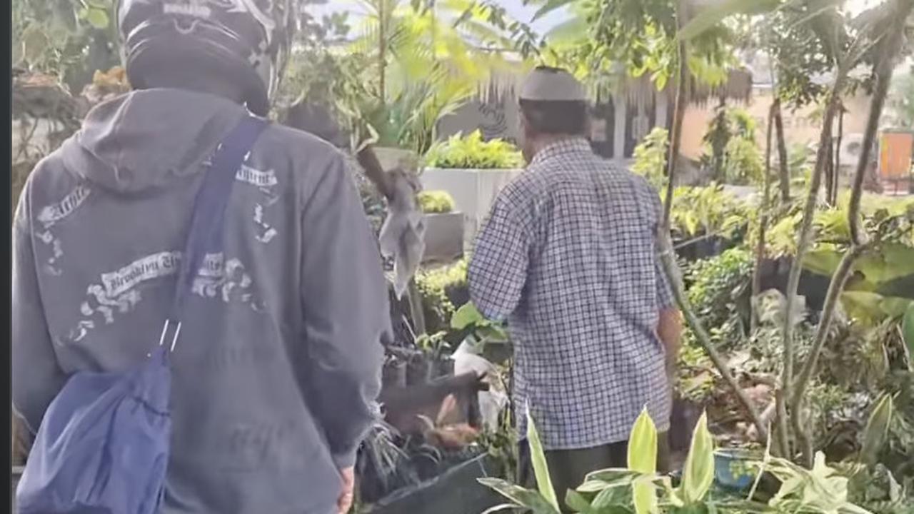 Kocak, Kepergok Polisi Lawan Arus, Pemotor Ini Mendadak Beli Tanaman