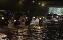 Temuan Walhi: Alih Fungsi Lahan yang Masif Biang Keladi Jabar Dikepung Banjir