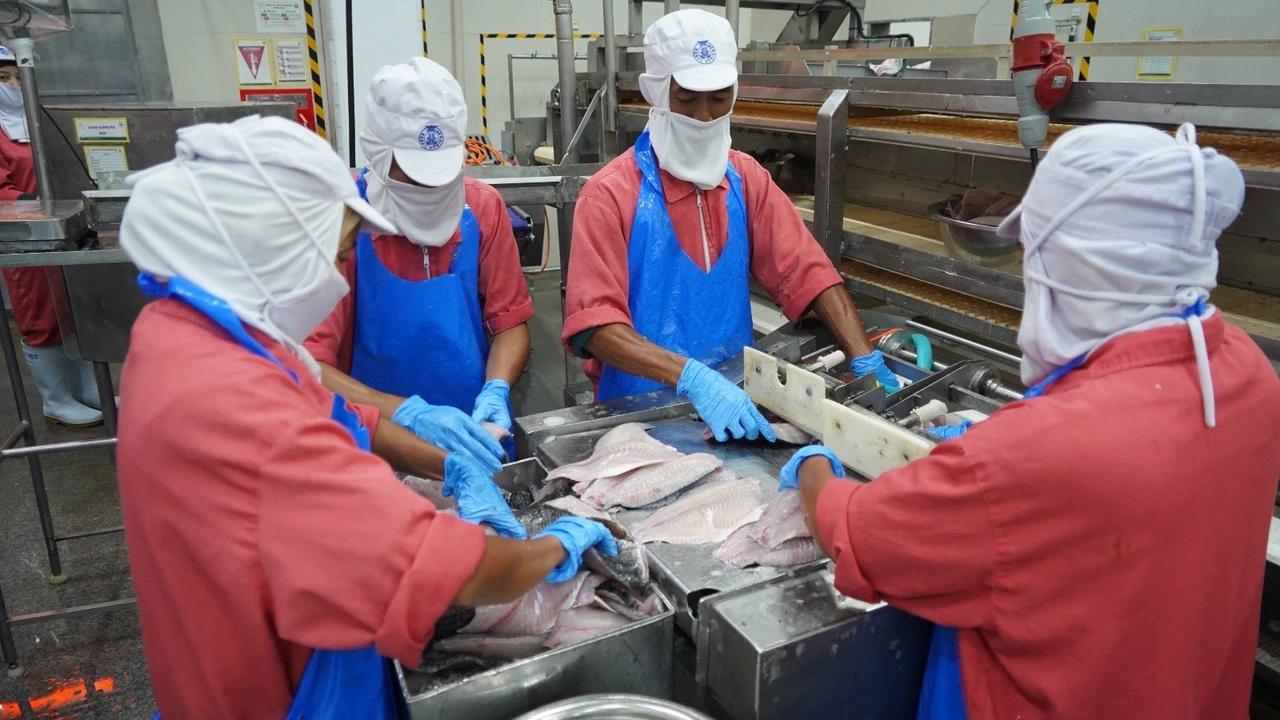 Proses pengolahan ikan di salah satu Unit Pengolahan Ikan (UPI) fillet ikan yang produknya diekspor ke luar negeri.