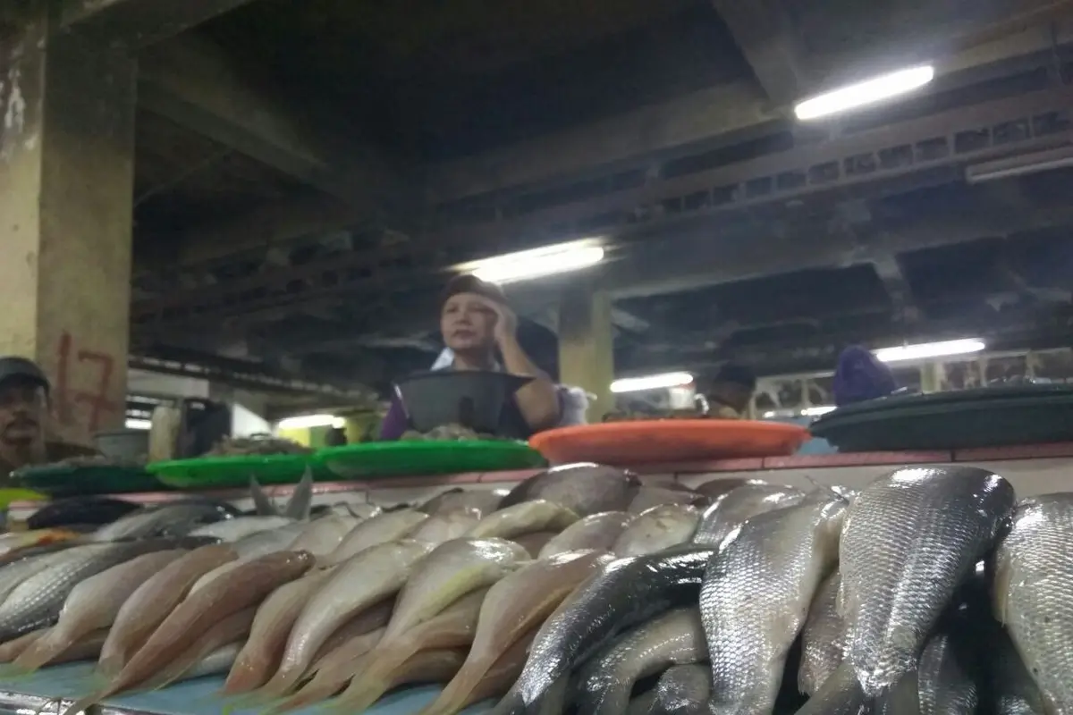 Balada Nelayan dan Ikan Laut di saat Cuaca Ekstrem