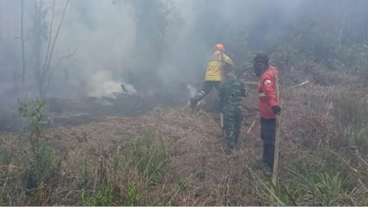 Kemenhut Ubah Taktik Tangani Kebakaran Hutan, Fokus Putus Kepala Api