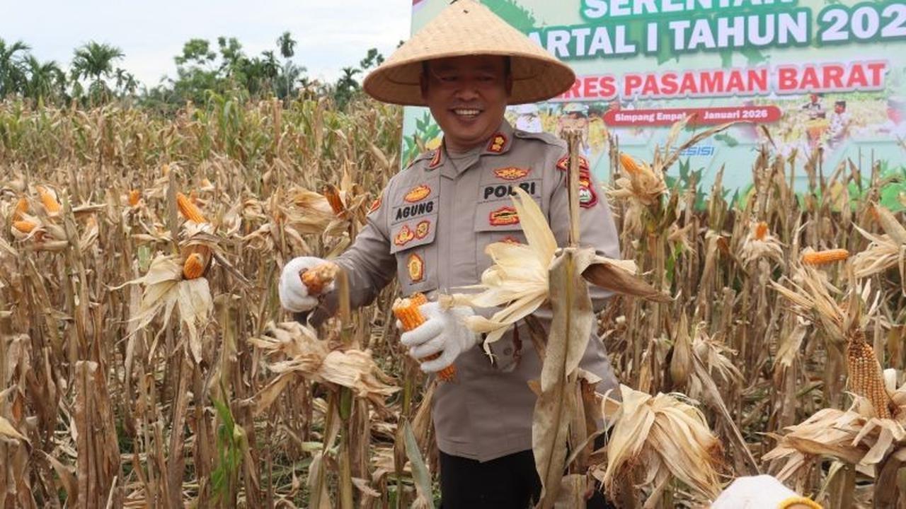 Polres Pasaman Barat Fasilitasi Penjualan Jagung Petani, Pastikan Harga Standar Nasional