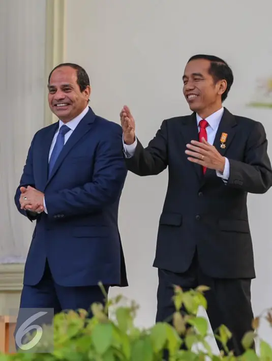 Kelihatannya, Pak Jokowi akrab banget sama Presiden Mesir (Liputan6.com)