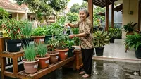 7 Kebun Sayur untuk Lansia Usia 60 Tahun yang Mudah Dirawat