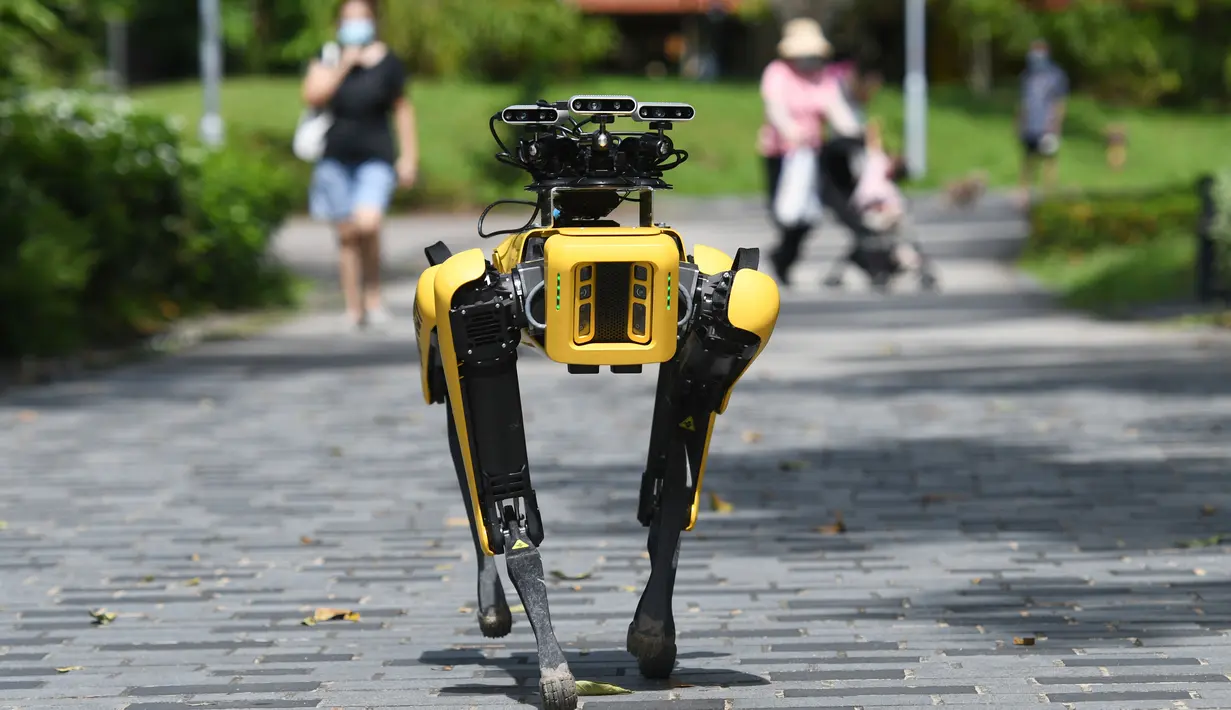 SPOT, robot anjing yang dapat mendeteksi apakah pengunjung memakai masker atau tidak menjalani uji coba putaran keduanya di Bishan Park Singapura, 22 September 2020. Uji coba ini bagian dari upaya melawan penyebaran COVID-19. (Xinhua/Then Chih Wey)