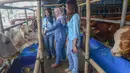 Pedagang memanfaatkan berbagai konsep promosi untuk menarik minat pembeli di tengah meningkatnya kebutuhan hewan kurban menjelang Iduladha. Tampak dalam foto, beberapa Sales Promotion Girl (SPG) dengan mengenakan kostum ala pramugari melayani calon pembeli di Mall Hewan Qurban H. Doni, Depok, Jawa Barat, Senin (11/5/2026). (merdeka.com/Arie Basuki)