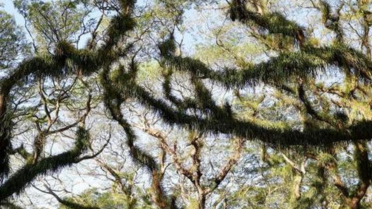 "Industri fasyen ini harus bisa menjadi contoh bagi industri yang lain agar ramah lingkungan dan memperhatikan keberlanjutan," ujar Bupati Ipuk.