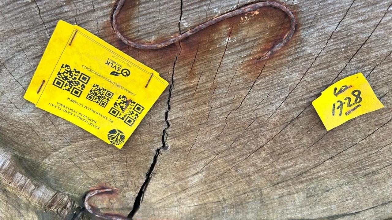 Gelondongan Kayu Berbarcode Kemenhut Terhempas di Pesisir Barat, Asal Kapal Tongkang Sumbar