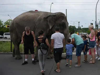 Seekor gajah sirkus menjadi perhatian warga di sebuah jalan di Berlin, Jerman, Kamis (30/6). Gajah tersebut diajak pawangnya untuk berjalan-jalan menikmati udara segar. (REUTERS/Stefanie Loos)