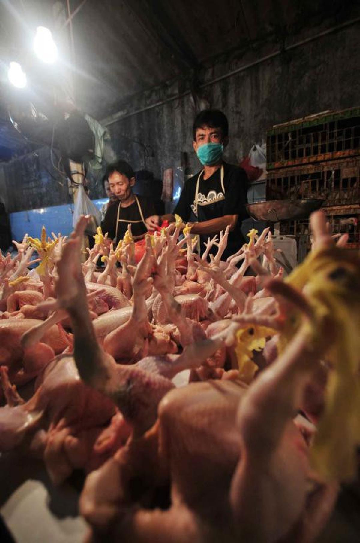 Jelang lebaran, harga daging sapi dan ayam terus meroket