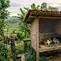 Cara Membuat Kandang Kelinci Sendiri dari Kayu, Bambu, dan Kawat