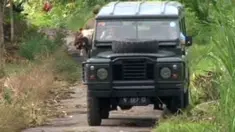liputan6
