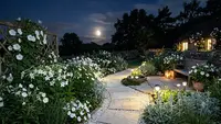 8 Tips Membuat Moon Garden, Pancarkan Keindahan Taman Malam di Halaman Rumah