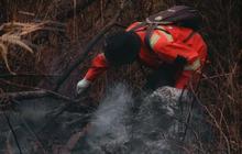 Fakta Cepat: 36 Hektare Ludes, Kebakaran Hutan Rinjani Berhasil Dipadamkan Tim Gabungan