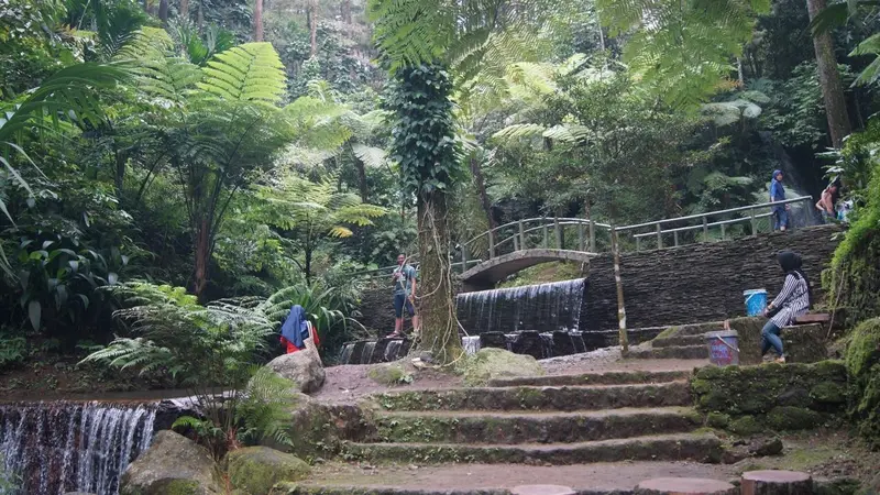 Segar Tanpa Bau Petai di Curug Cipeuteuy