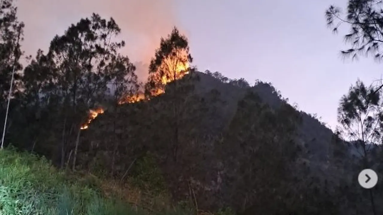 Kebakaran hutan dan lahan di Gunung Panderman Batu. (Istimewa)