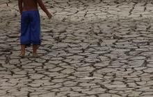 FOTO: Penampakan Sungai Amazon Kering Kerontang, Paling Parah Sejak 121 Tahun Terakhir