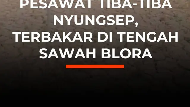 Pesawat Tiba-Tiba Nyungsep,Terbakar di Tengah Sawah Blora