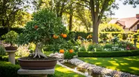 10 Tips Merawat Bonsai Buah agar Cepat Berbuah dan Tumbuh Subur