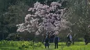 Para pengunjung menikmati bunga pohon magnolia di Kew Royal Botanic Gardens pada hari yang cerah di London (22/3/2021).  Kew Gardens telah dibuka satu tahun setelah penguncian terkait COVID-19 pertama di Inggris. (AP Photo/Frank Augstein)