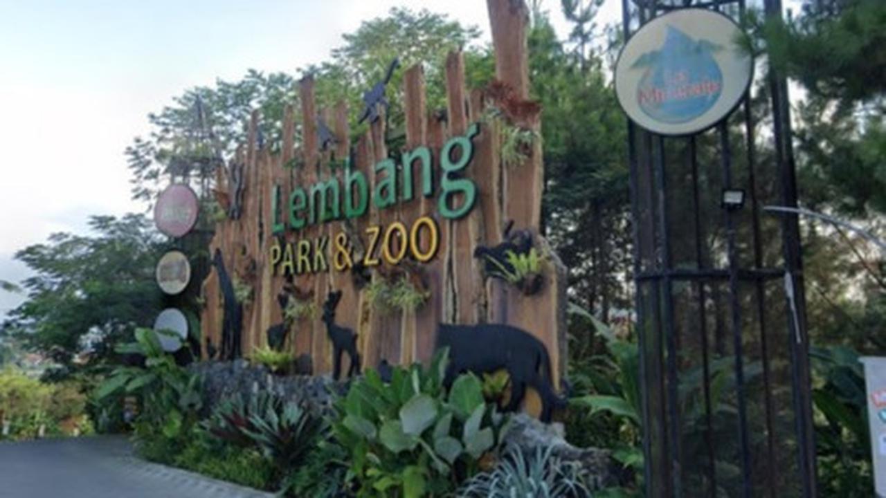 Lembang Park and Zoo Kembali Buka Usai Macan Tutul Kabur, Petugas Tetap Siaga