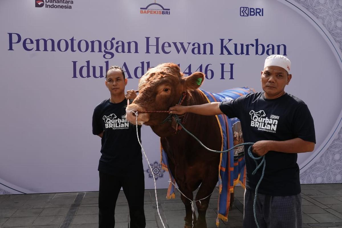 Bapekis dan Karyawan BRI Salurkan 961 Hewan Kurban untuk Masyarakat