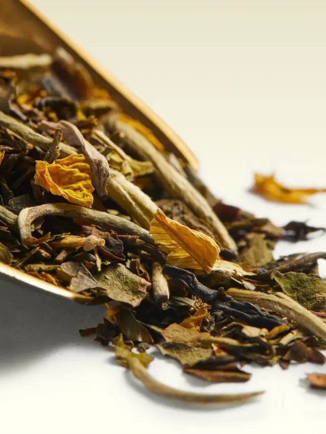 TWG Tea White Tea Collection