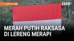 Dalam rangka memperingati 80 tahun Indonesia merdeka, Tim SAR Gabungan Daerah Istimewa Yogyakarta mengibarkan bendera Merah Putih raksasa berukuran 8 x 10 meter di lereng Gunung Merapi, Sleman. Aksi ini dilakukan di atas jurang Kali Kuning dengan ket...